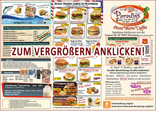 PDF Datei &ouml;ffnen!